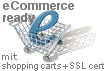 ecommerce ebusiness